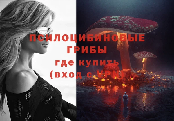 не бодяженный Белокуриха
