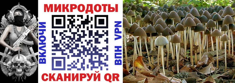 Галлюциногенные грибы Cubensis  ОМГ ОМГ ONION  Белово 